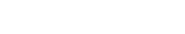 Цифровая образовательная система РГГУ